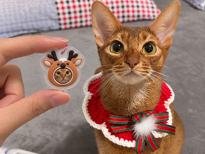Petmiz Custom Pet Stack Charm – Christmas Collection